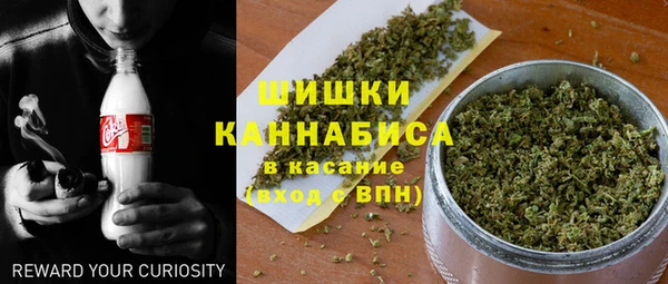 PSILOCYBIN Белокуриха