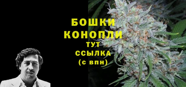 ПСИЛОЦИБИНОВЫЕ ГРИБЫ Михайлов